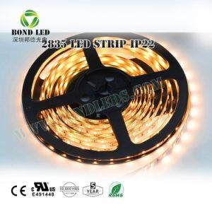 Wholesale Price SMD 2835 120LED LED Strip with DC12V 24V Warm Pure Nature White Color