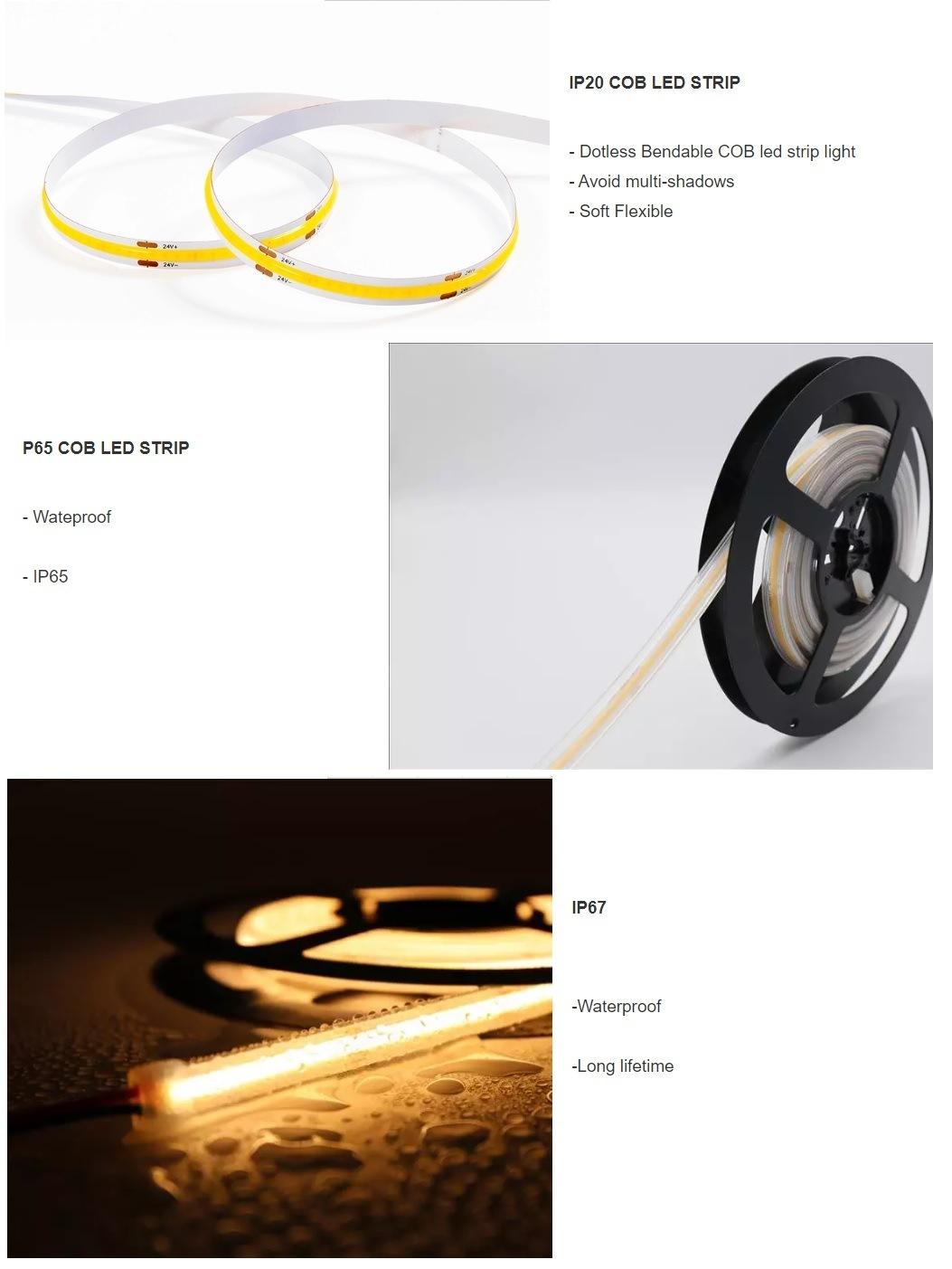 Dotless COB Flexible LED Strip LED Tape for LED Sign COB 24VDC 8mm