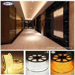 110V 220V Warm / Cool White LED Tape 60 Per Metre