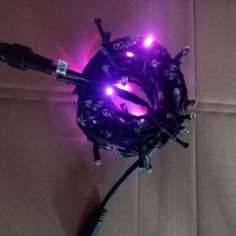Holiday Light Christmas Decoration Christmas Light LED String Lights Balck Cable