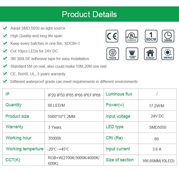 CE&RoHS Certificated LED Strip RGB+CCT LED Flexible Strip Light 12V/24V LED Linear Lighting