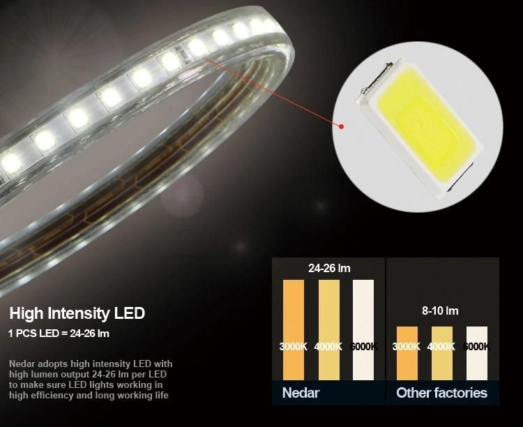 220V 230V Ce LED Strip Light with Power Supply 25 Meters 82 FT Length SMD 2835 120LED