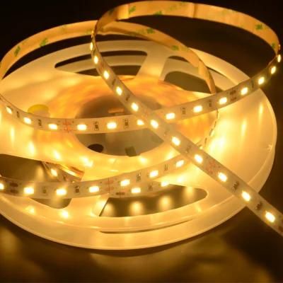 IP33 SMD 5630 Warm White/White LED Strip with Ce&RoHS