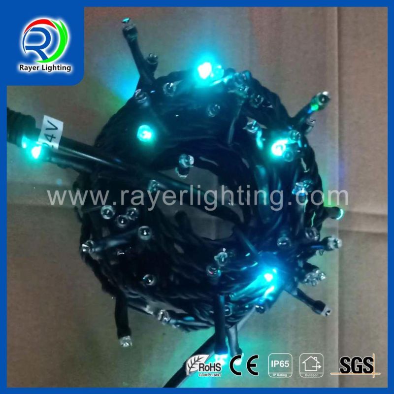 Outdoor LED Decoration Party RGB LED Pixel String Customize Ucs1903
