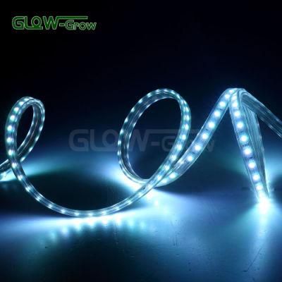 Hotel Use LED RGB Sync 5050 Strip Light with Multi Modes for Selection