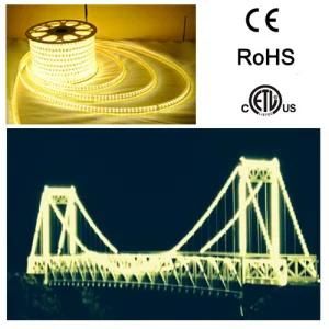 Bridge Project SMD5050 100m High Lumen LED Strip Light