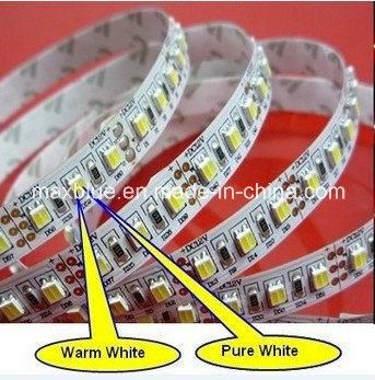 Dual White Bicolor CCT Adjustable 3528 SMD LED Strip Light