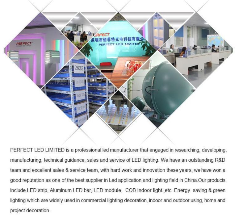 RGBW LED Flexible Panel Sheet