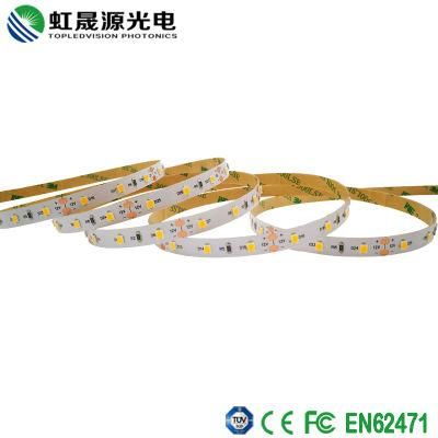 3years Warranty Flexible LED Strip Light 12V 12W/M Indoor Outdoor