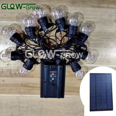 IP65 Commercial Grade Waterproof Patio Lights Christmas Festoon Light LED String Light with Clear Shatterproof Edison Bulbs