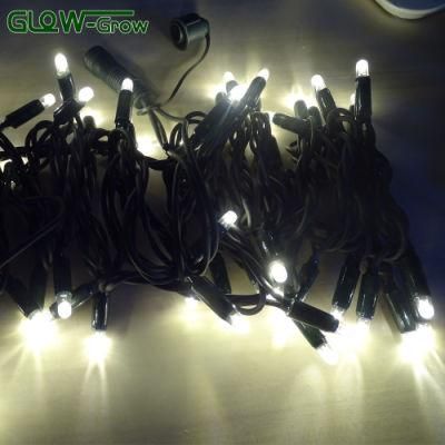 100V Connectable Black Rubber Cable White LED String Christmas Lights