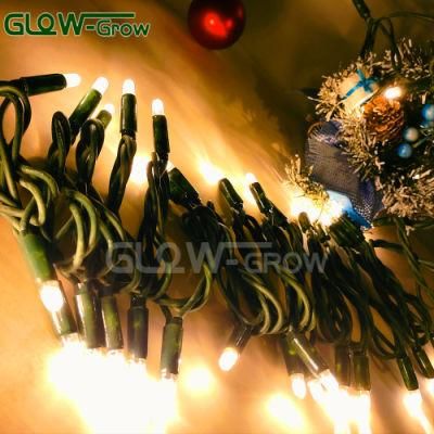 13 FT. Length, 60LED Lights, IP65, Green Cable, Warm White, Christmas LED Fairy String Light