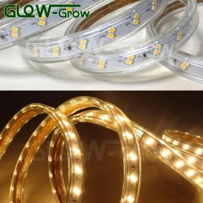 Ra&gt;80 IP65 600lm/M 60*2LEDs/M 2835 LED Strip Light with CE Approval