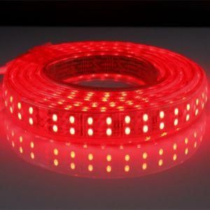 Factory Direct Sale 120LED/M 5050 Double Line LED Rope Light LED Decorative Strip Light