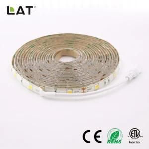 DC12V IP65 SMD5050 1m Ww 30LEDs Flexible LED Strip Light