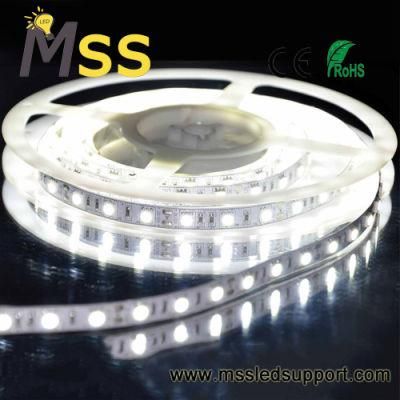 Waterproof SMD 5050 LED Strip Backlight LED Strip 24V