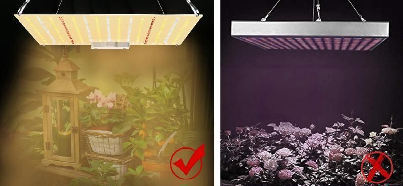 Greenhouse LED Grow Light Full Spectrum 830W