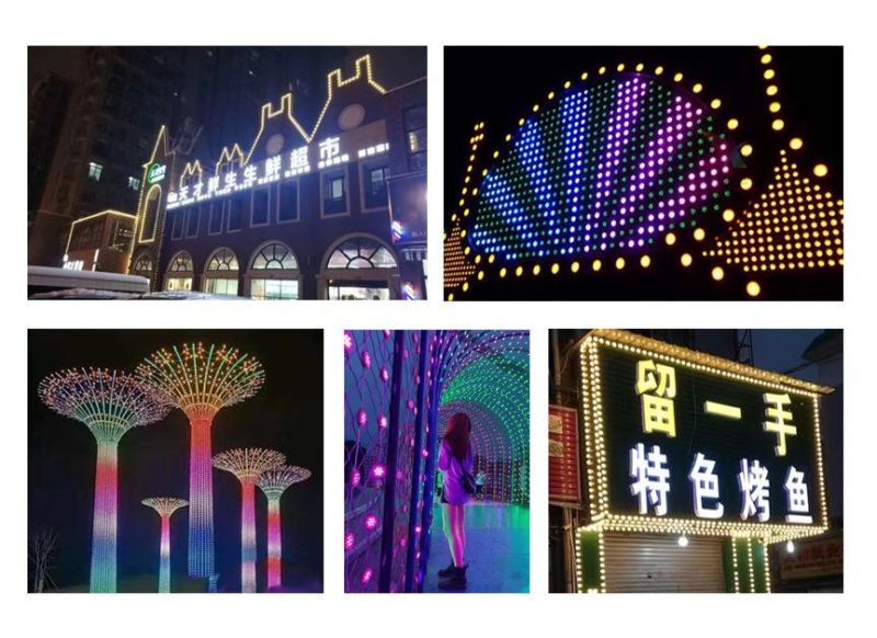 Customization RGBW LED Pixel Point Lamp Building Decoration Lights for Facade Lighting