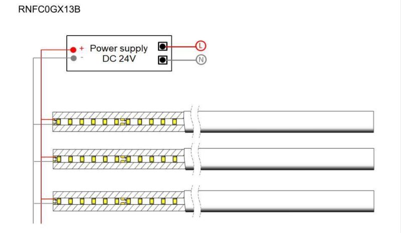 Beam Angle 270 Degrees 13mm Diameter DC12V/DC24V 2835 Flex Neon LED Strip