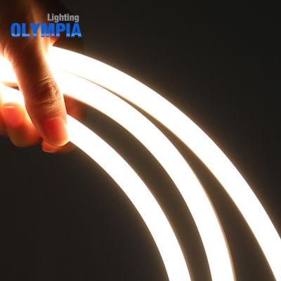 Neutral Packing SMD5050 IP68 Waterproof Flexible LED Neon Strip