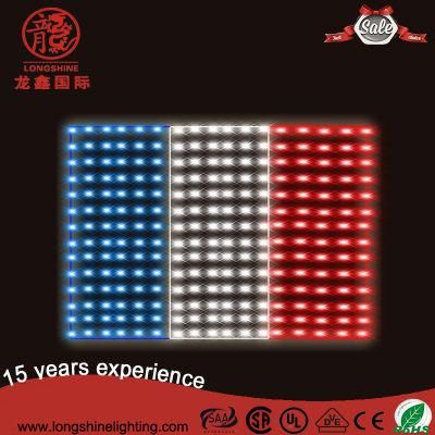 Outdoor Advertising French Flag Strip Light String for Outdoor Decoration