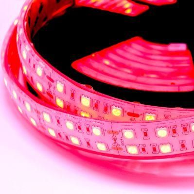 5050 Double Row 120LED 96LED RGB, White, Red, Flexible Strip