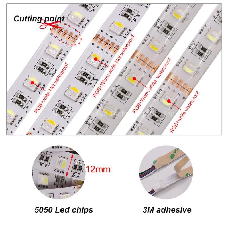 SMD5050 14.4W/M 60LED 84LED 96LED 120LED RGBW 2700K Rgbnw 4000K RGBW 6000K 4 in 1 LED Strip Light IP20&IP65 with Silicone