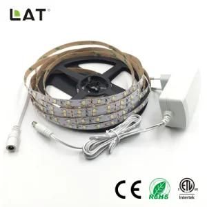 High Brightness DC12V 24V SMD2835 Cw 5m 60LEDs Flexible LED Strip Tape Ce ETL UL