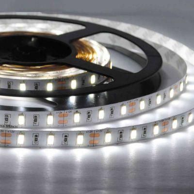 DC12V 8mm Width 31.25mm Cut LED Flexible Rope Light Strip