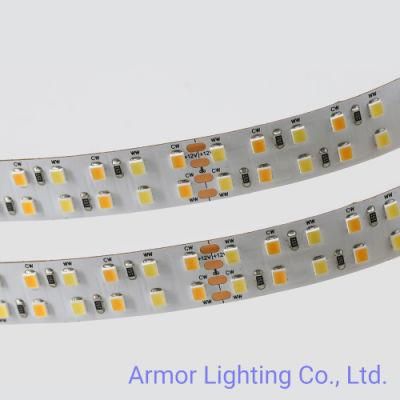 Double Rows Best Quality SMD LED Strip Light 2835 240LEDs/M DC12V/24V/5V for Side View/Bedroom