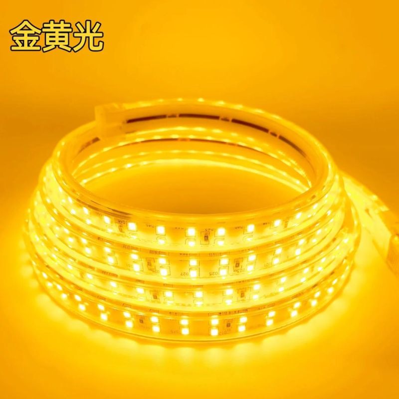 Alva / OEM 8mm 10mm 12mm 220-240V IP65 Strip Light with High Quality