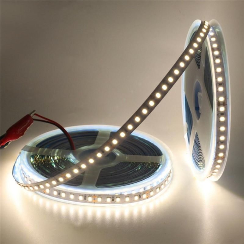 203lm/W Super Bright DC24V SMD2835 White LED Flexible Tape Light Strip