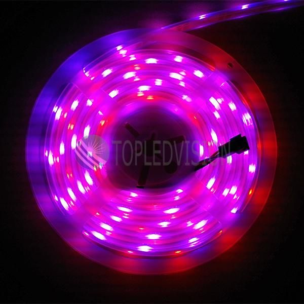 DC 24V IP68 Waterproof Flexible SMD5050 RGB Digital LED Strip Light