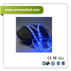 19.2 Batteary Waterproof Blue LED Strip Light 10m with LED Controller