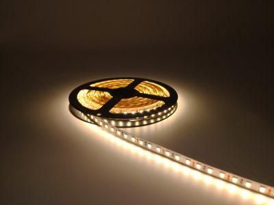 Decorative Light LED Rope Light12V 2835 120LED/M Warm White LED Strip Lights