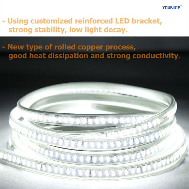 1500lm 12W 220V High Voltage IP67 Waterproof LED Flexible Strip for Project