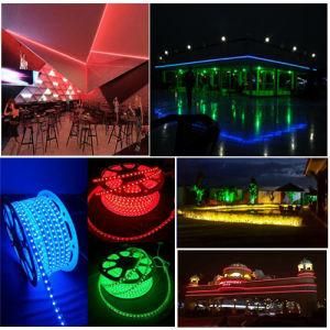 Christmas Colorful LED Rope Light RGB Waterproof LED Flexible Strip