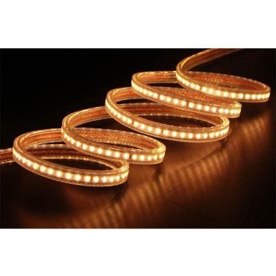 LED Strip Light for Euro Market Ce Mandantory