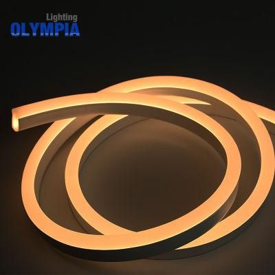 IP68 Seamless Connection LED Neon Strip Light