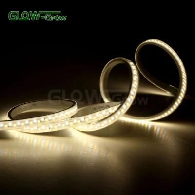 50m 120V SMD 2835 IP65 Dual Color Strip Light with Tow Chips LED