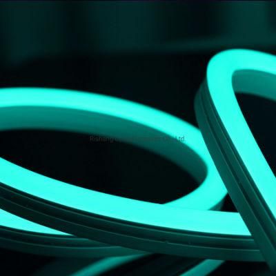 LED Neon Strip Flexible Light 24V RGB out Door Wall Light Decoration