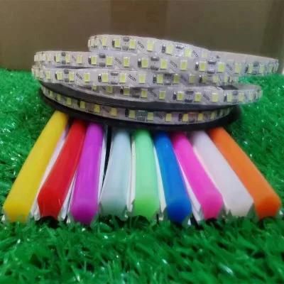 6*10 mm Flexible Silicone LED Neon Tube and LED Strip for Decoration