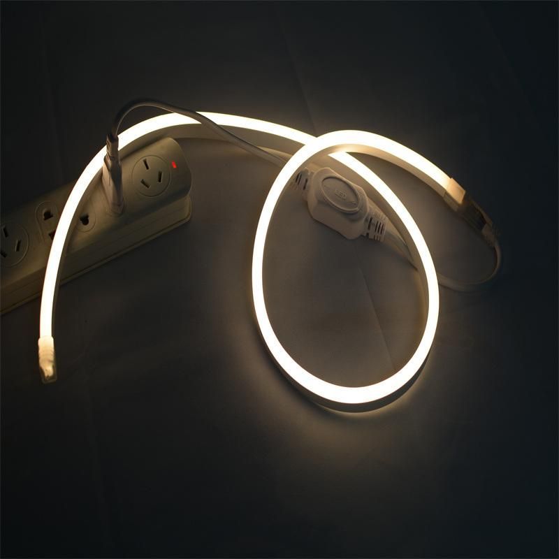 Shenzhen Manufacturer Price CRI80 CE Passed 2835 Warm White Rope Light