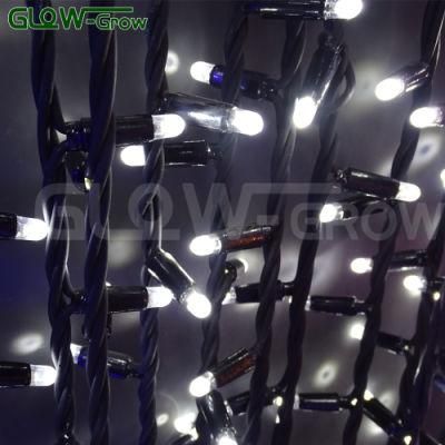 Black Wire UL Listed Holiday Use LED Curtain Light for Window Decoration