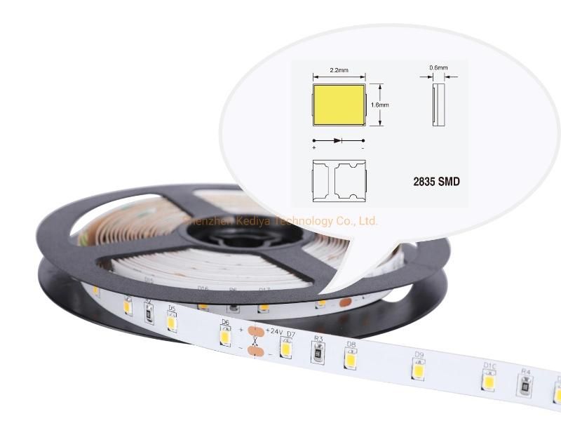 LED Lighting 12V/24VDC 2835 60 LED Strip 5m LED Strip Light