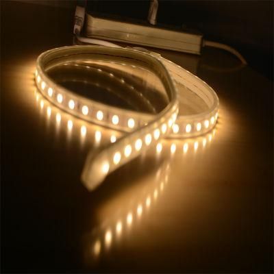 Factory Price CE RoHS Passed Flat Size SMD5050 LED Stripe High Lumen