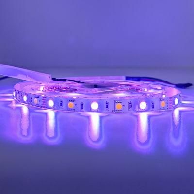 RGB 5050 DC12V Smart Strip Light with Remote Control