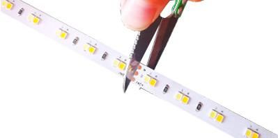 Dynamic White Two SMD2835 Color Temperature Adjustable CCT Bicolor LED Light Strip