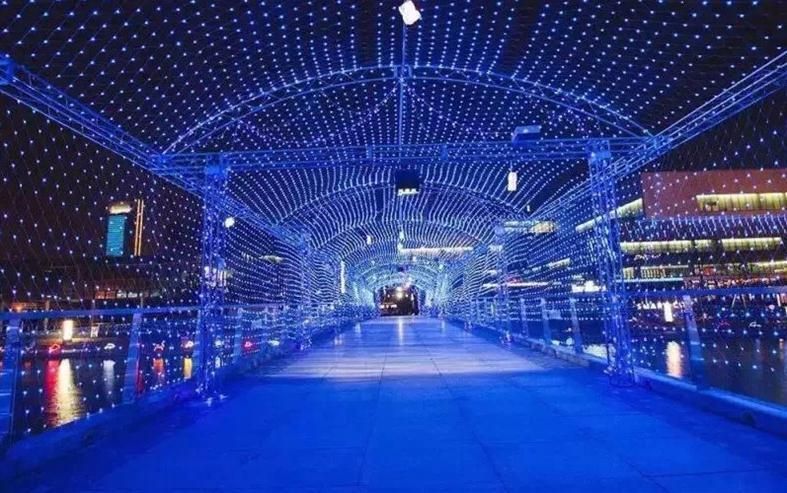 24V RGB Waterproof LED Decoration Light for Wedding