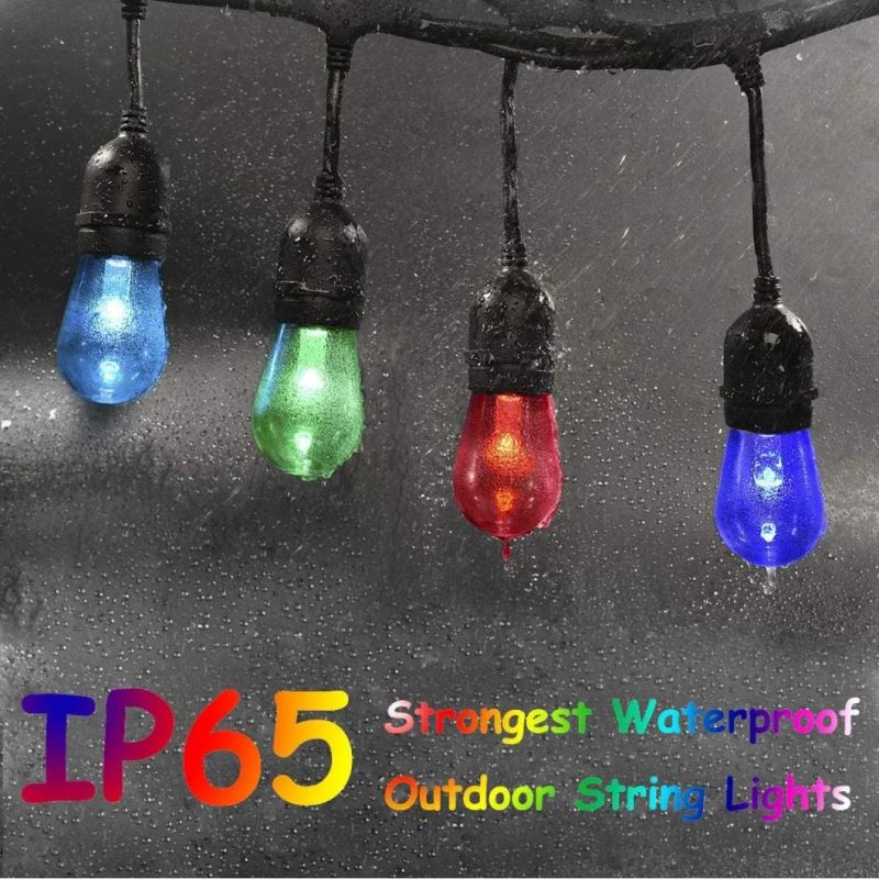 Dimmable Bulb Remote Control LED Outdoor RGBW Color Changing String Light for Garden Patio Backyard